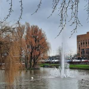 Stadslandbouw