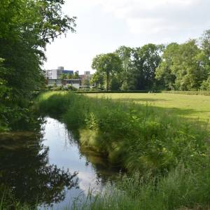 Beken en water